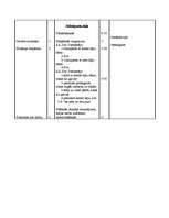 Konspekts 'Sports', 4.