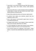 Eseja 'Uzņēmējdarbību veicinošu pasākumu kopums Latvijā', 6.