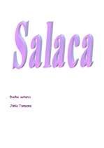 Referāts 'Salaca un tās baseins', 1.