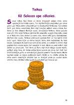 Referāts 'Salaca un tās baseins', 16.