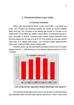 Referāts 'Nekustamā īpašuma tirgus raksturojums Rīgas pilsētā 2005.-2009.gadā', 9.