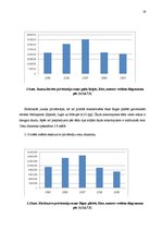 Referāts 'Nekustamā īpašuma tirgus raksturojums Rīgas pilsētā 2005.-2009.gadā', 19.