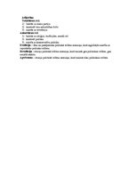Konspekts 'Politiskie režīmi', 2.