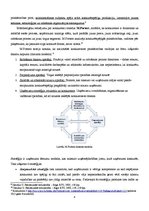 Konspekts 'Konkurence globalizācijas apstākļos', 4.