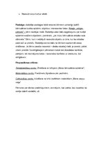 Konspekts 'Integrēta rotaļnodarbība. Mana tuvākā apkārtne', 4.