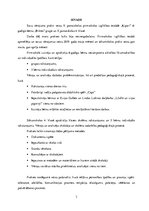 Prakses atskaite 'Pedagoģiskā procesa vērojumu prakse  sākumskolā un pirmsskolā', 3.