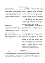 Prakses atskaite 'Pedagoģiskā procesa vērojumu prakse  sākumskolā un pirmsskolā', 11.