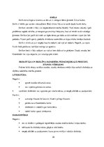 Prakses atskaite 'Pedagoģiskā procesa vērojumu prakse  sākumskolā un pirmsskolā', 20.