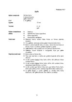 Prakses atskaite 'Pedagoģiskā procesa vērojumu prakse  sākumskolā un pirmsskolā', 31.