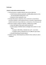 Paraugs 'Varbūtības teorija inženieraprēķinos', 2.