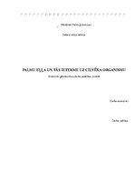 Referāts 'Palmu eļļa un tās ietekme uz cilvēka organismu', 1.