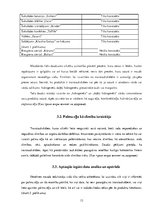 Referāts 'Palmu eļļa un tās ietekme uz cilvēka organismu', 13.