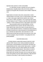 Referāts 'Atsevišķu Latvijas uzņēmumu interneta mājas lapu analīze no starptautiskā mārket', 6.