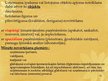 Prezentācija 'Grāmatvedības uzskaites un atskaišu tiesiskā regulēšana', 24.