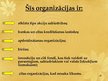 Prezentācija 'Grāmatvedības uzskaites un atskaišu tiesiskā regulēšana', 48.