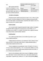 Konspekts 'Alva', 2.