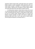 Referāts 'Audita rašanās vēsturiskie aspekti', 5.