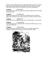 Konspekts 'A.Brigadere "Sprīdītis"', 2.