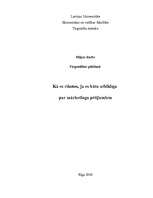 Eseja 'Kā es rīkotos, ja es būtu atbildīga par mārketinga pētījumiem', 1.