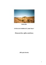 Biznesa plāns 'IK "Lielais Čiekurs"', 1.