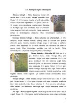 Biznesa plāns 'IK "Lielais Čiekurs"', 7.