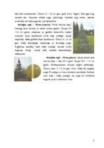 Biznesa plāns 'IK "Lielais Čiekurs"', 8.