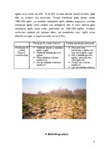 Biznesa plāns 'IK "Lielais Čiekurs"', 10.