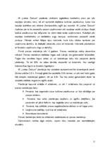 Biznesa plāns 'IK "Lielais Čiekurs"', 11.