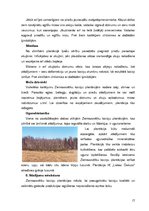 Biznesa plāns 'IK "Lielais Čiekurs"', 17.