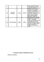 Biznesa plāns 'IK "Lielais Čiekurs"', 20.