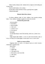 Referāts 'Ēdiena rotāšana un pasniegšana. Galda klājuma veidi', 13.