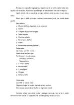 Referāts 'Ēdiena rotāšana un pasniegšana. Galda klājuma veidi', 14.