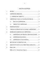 Referāts 'Kopīpašums', 3.