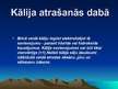 Prezentācija 'Kālijs', 5.