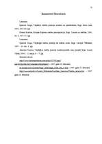 Referāts 'Vispārīgo tiesību principu pielietojamība Latvijā', 11.