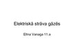Prezentācija 'Elektriskā strāva gāzēs', 1.