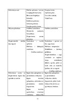 Referāts 'Pētnieciskās prasmes dabas jomas centrā četrus gadu veciem bērniem', 12.