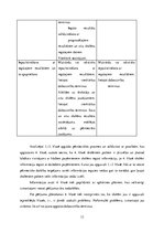 Referāts 'Pētnieciskās prasmes dabas jomas centrā četrus gadu veciem bērniem', 13.