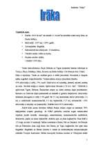 Konspekts 'Irāka', 1.