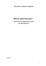 Biznesa plāns 'Biznesa ideju īstenošana', 1.