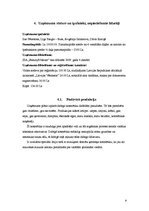 Biznesa plāns 'Biznesa ideju īstenošana', 9.