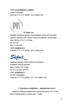 Biznesa plāns 'Biznesa ideju īstenošana', 17.