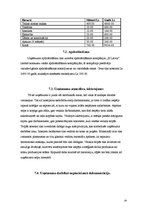 Biznesa plāns 'Biznesa ideju īstenošana', 19.