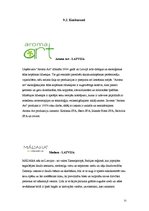 Biznesa plāns 'Biznesa ideju īstenošana', 25.