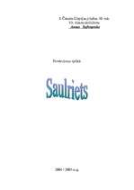 Konspekts 'Saulriets', 1.