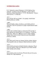 Konspekts 'Saulriets', 3.