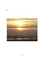 Konspekts 'Saulriets', 6.