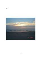 Konspekts 'Saulriets', 7.