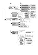 Referāts 'Menedžmenta sistēma lielā uzņēmumā', 14.