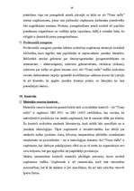 Referāts 'Menedžmenta sistēma lielā uzņēmumā', 26.